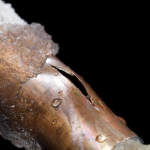 frozen pipe