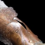 Pipe damaged due to being frozen